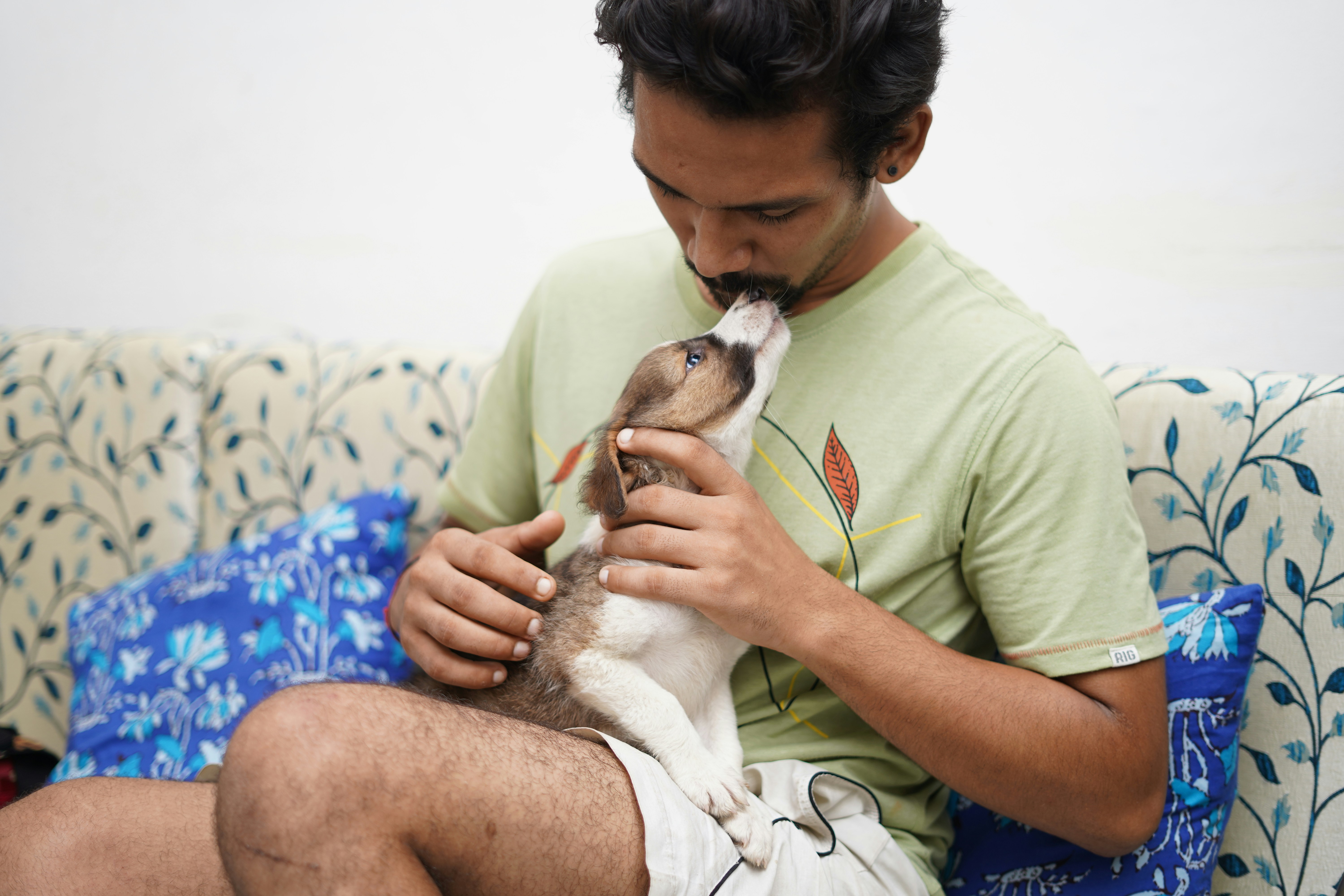 Adoptar mascotas